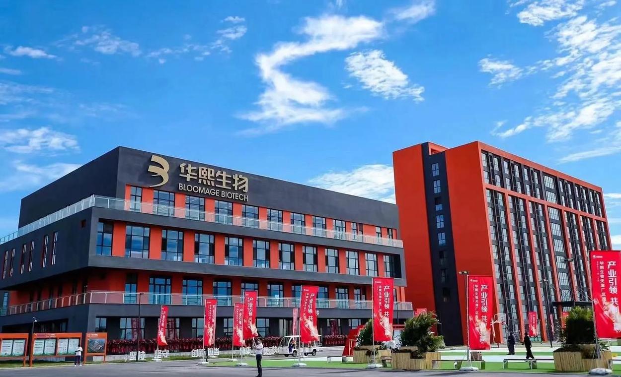 赵燕的商业奇迹:从房地产业到玻尿酸帝国的蜕变
